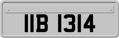 IIB1314