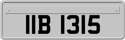 IIB1315