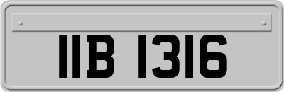 IIB1316