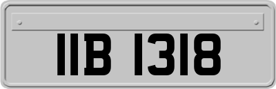 IIB1318