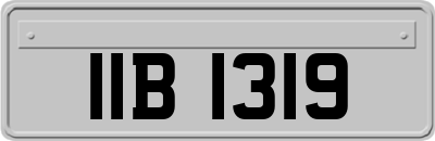 IIB1319