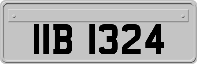 IIB1324