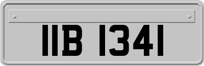 IIB1341