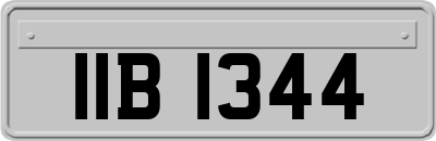 IIB1344
