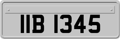 IIB1345