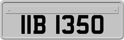 IIB1350