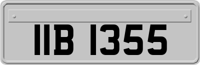IIB1355