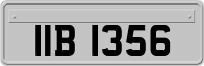IIB1356