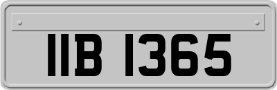 IIB1365