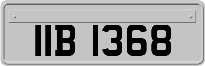 IIB1368