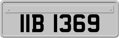 IIB1369