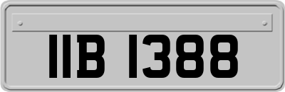 IIB1388