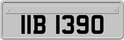 IIB1390