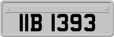 IIB1393