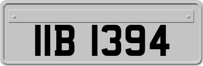 IIB1394