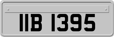 IIB1395