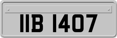 IIB1407