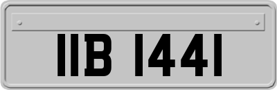 IIB1441