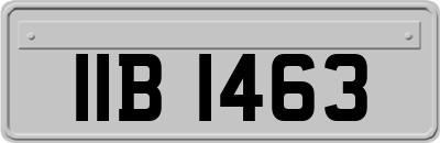 IIB1463