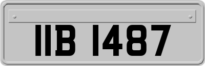 IIB1487