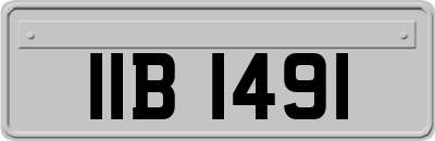 IIB1491