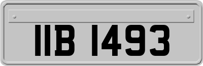 IIB1493