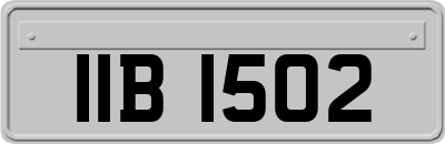 IIB1502