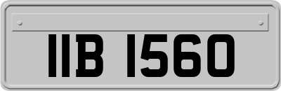 IIB1560
