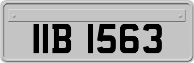 IIB1563