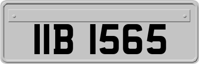 IIB1565
