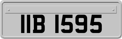 IIB1595