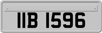IIB1596