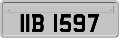 IIB1597