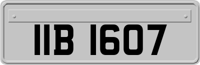 IIB1607