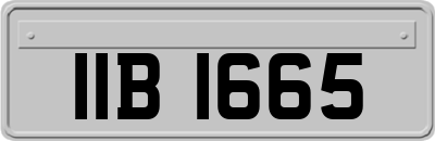 IIB1665