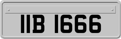 IIB1666