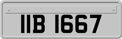 IIB1667