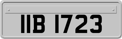 IIB1723