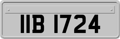 IIB1724