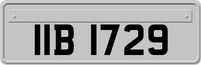IIB1729