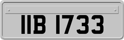 IIB1733