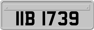 IIB1739