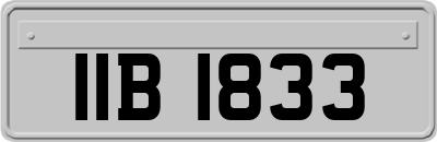 IIB1833