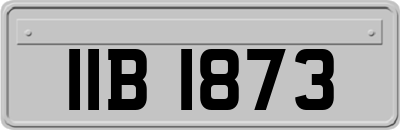 IIB1873