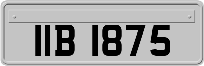 IIB1875