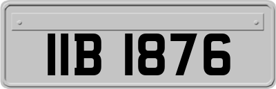 IIB1876