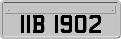 IIB1902