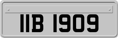 IIB1909