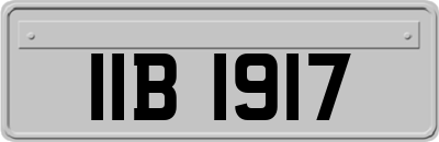 IIB1917