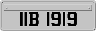 IIB1919